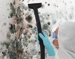 Best Black Mold Removal  in Columbus, NC